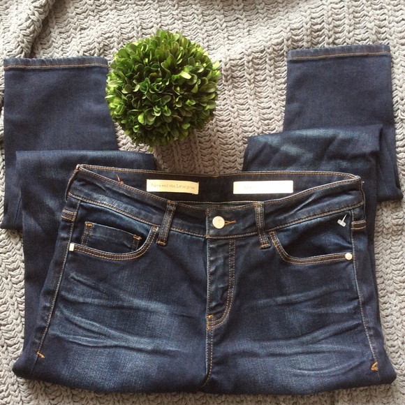 Anthropologie Pilcro Script Skinny Jeans - Picture 1 of 8